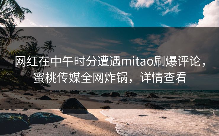网红在中午时分遭遇mitao刷爆评论，蜜桃传媒全网炸锅，详情查看