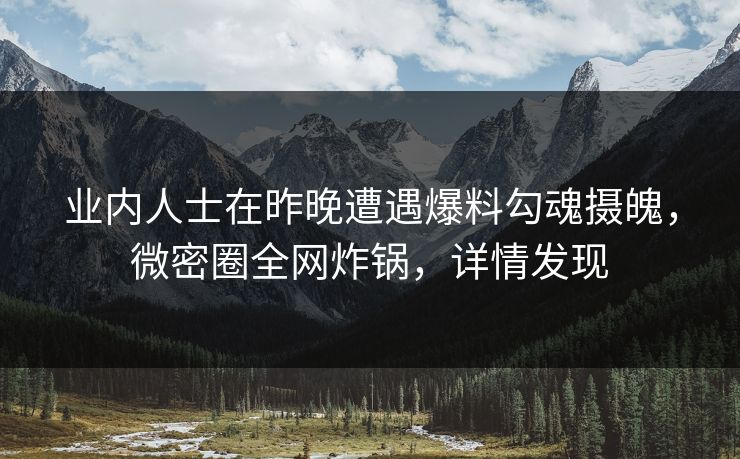 业内人士在昨晚遭遇爆料勾魂摄魄，微密圈全网炸锅，详情发现