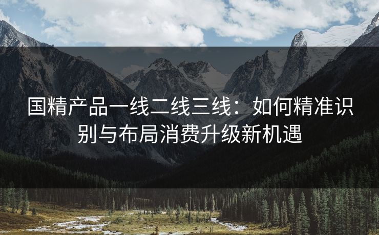 国精产品一线二线三线：如何精准识别与布局消费升级新机遇